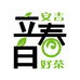 安吉立春白茶场