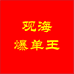 观海爆单王