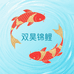 双昊锦鲤