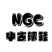 NGC中古球鞋