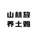 AAA山林放养土鸡蛋