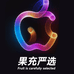 果充严选