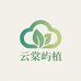 云棠屿植