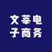 文莘电子商务