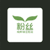 纯粹绿豆粉丝
