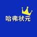 哈弗状元箱包旗舰店
