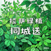 拉萨福晟绿植园艺坊