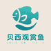 贝西观赏鱼