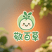 敬百草养生甄选