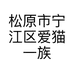 松原市宁江区爱猫一族宠物用品店的小店