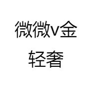 微微v金轻奢