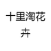 十里淘花卉