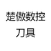 楚傲数控刀具