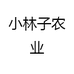 小林子农产品