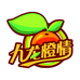安远县九龙橙情果业有限公司