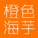 橙色海芋