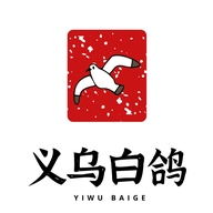 义乌白鸽严选