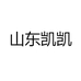 山东凯凯