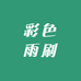 彩色雨刷 烤漆款