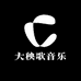 陈雨音乐电子商超