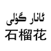 石榴花综合商店
