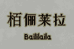 栢俪莱拉高端饰品