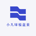 小凡绿植盆景