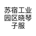 苏宿工业园区晓琴子服饰店的小店个体店