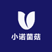 小诺菌菇