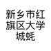 新乡市红旗区大学城蚝搭档小吃店的小店个体店