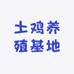 土鸡养殖基地