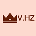 VHZ服饰个体店