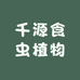 千源食虫植物