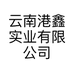 云南港鑫实业有限公司的小店