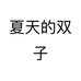 夏天的双子个体店