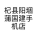 杞县阳堌蒲国建手机店的小店