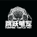 跳跃龟宠