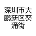 深圳市大鹏新区葵涌街道杨菲烫发造型店的小店个体店