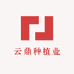 云鼎种植业