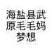 海盐县武原毛毛妈梦想小屋日用百货店的小店个体店