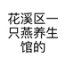 花溪区一只燕养生馆的小店