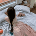 rose橙