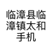 临漳县临漳镇太和手机配件中心的小店
