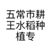 五常市耕王水稻种植专业合作社的小店
