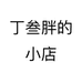 丁叁胖的小店