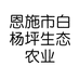 恩施市白杨坪生态农业专业合作社的小店