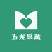 五龙果蔬农场