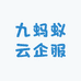 九蚂蚁云企服