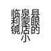 临泉县利蒙眼镜店的小店个体店
