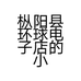 枞阳县环球电子店的小店个体店